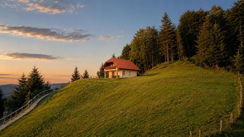a house on top of a grassy hill at Mohoričeva domačija in Idrija