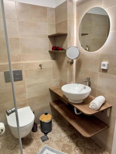 a bathroom with a sink and a toilet and a mirror at Villa Arkadi in Tragaki