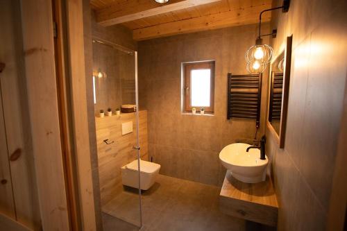 a bathroom with a toilet and a sink and a shower at Holickie Berdo in Polańczyk
