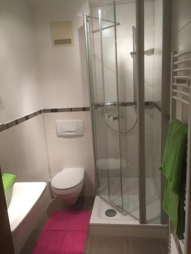 a bathroom with a shower and a toilet and a sink at Ferienwohnung Berger in Bad Birnbach