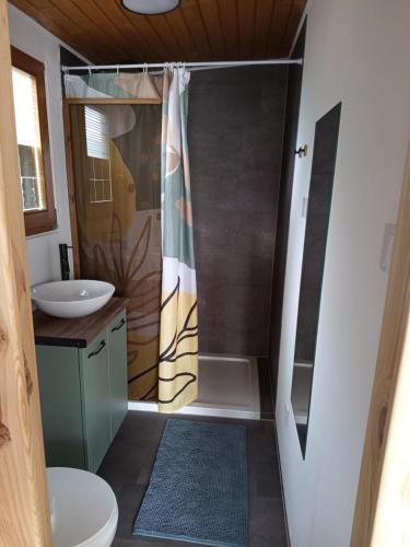 a bathroom with a shower and a sink at Sóz-Lak in Mezőcsát