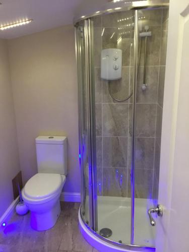 a bathroom with a toilet and a shower with purple lighting at Fishermans Rest in Newport