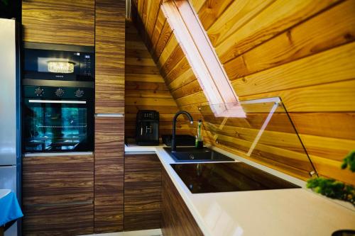a kitchen with a sink and a wooden wall at A Frame Poalele Transalpinei in Novaci-Străini