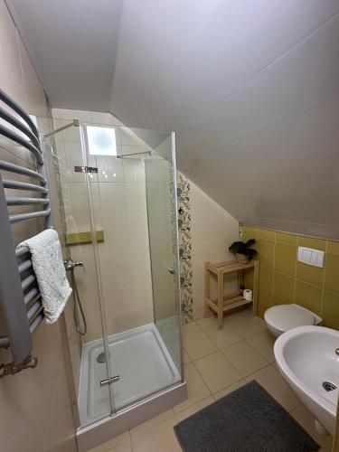 a bathroom with a shower and a toilet and a sink at Willa Rosiczka in Okuninka