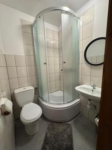 a bathroom with a shower and a toilet and a sink at Noclegi Pod Muńcołem in Ujsoły