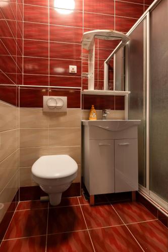 a bathroom with a toilet and a sink and a mirror at The Old Town Hostel-Villa Gradac in Dubrovnik