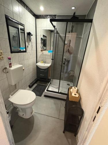 a bathroom with a shower and a toilet and a sink at Kleine Südharz Auszeit in Heringen