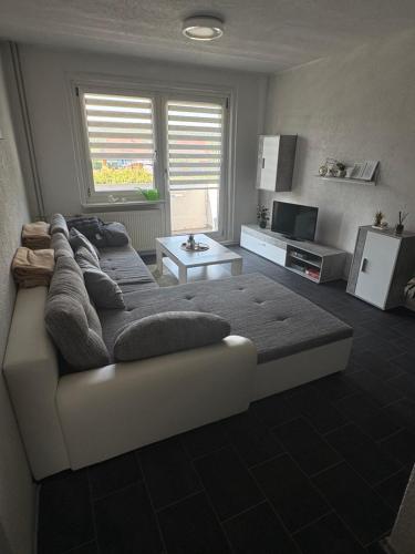 a living room with a couch and a tv at Kleine Südharz Auszeit in Heringen
