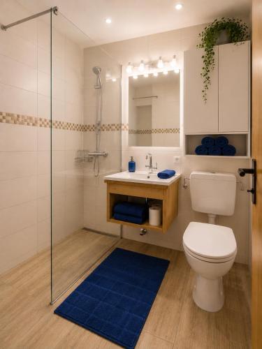 a bathroom with a toilet and a sink and a shower at Dachstein Blick in Bad Goisern