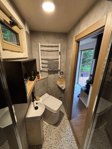 a small bathroom with a toilet and a sink at Maringotka Na mezi in Maršovice