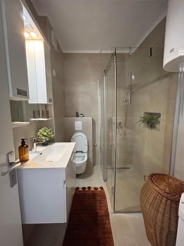 a bathroom with a shower and a toilet and a sink at Dunavska panorama in Golubac
