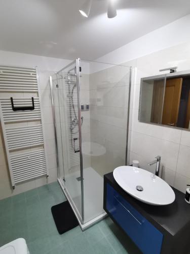a bathroom with a glass shower and a sink at Nancy House in Longarone