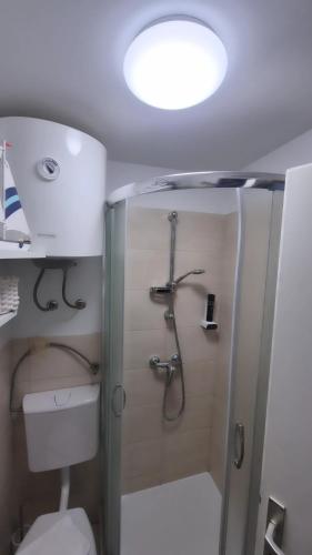 a bathroom with a shower and a toilet at Green Sky House in Mostec