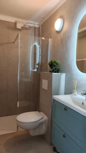 a bathroom with a shower and a toilet and a sink at Studio with private pool in Villefranche-sur-Mer