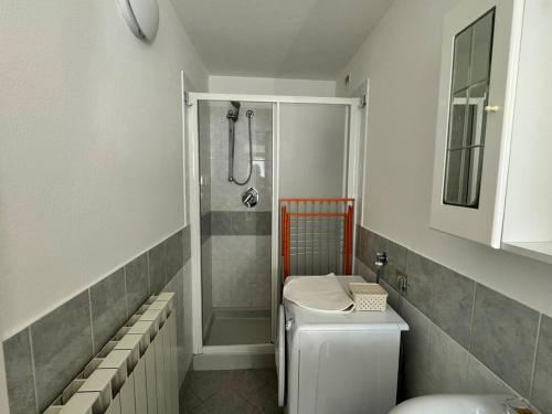 a small bathroom with a shower and a toilet at I Liutai 2P in Cremona