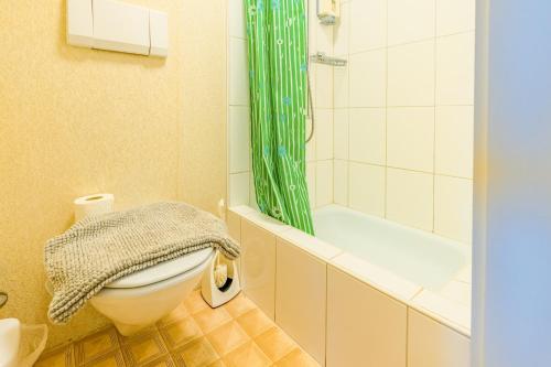 a bathroom with a toilet and a green shower curtain at self-check-in Hotel Regina Beatenberg in Beatenberg