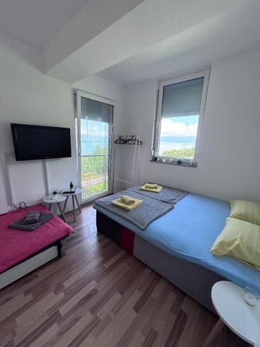 a bedroom with a large bed and a flat screen tv at APARTMENT ANA v-Peshtani in Ohrid
