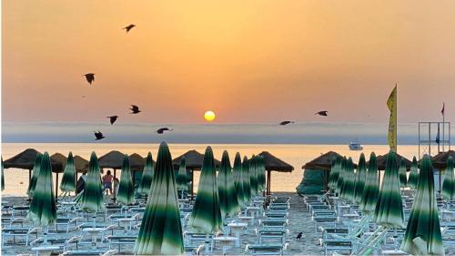a group of chairs and umbrellas on a beach at Lumina Rooms in Torre dell'Orso
