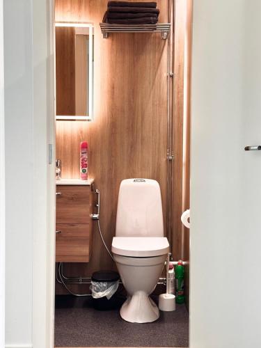 ein Badezimmer mit weißer Toilette und Waschbecken in der Unterkunft Asemaseutu in Lapinlahti
