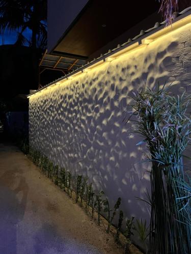 a wall with lights on it next to some plants at Palms hotel and Spa in Fulhadhoo