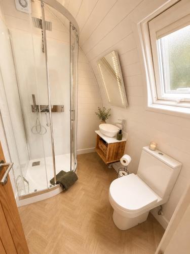 a bathroom with a shower and a toilet and a sink at Leisure Lodges in Glastonbury