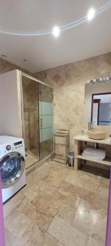 a bathroom with a shower and a washing machine at Villa Varco in Auxonne