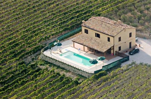 Gallery image of Villa le Vigne in Loro Piceno