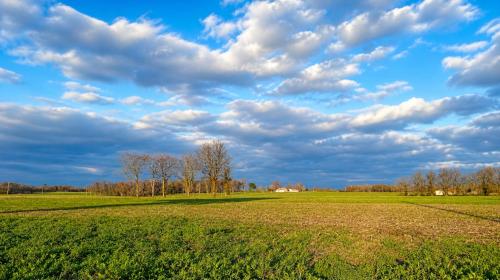 a field with trees and a cloudy sky at Santon in Eugénie-les-Bains