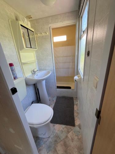 a bathroom with a toilet and a sink at Camping BuitenRijk - Chalet D35 Huisdier vrij in Valthermond