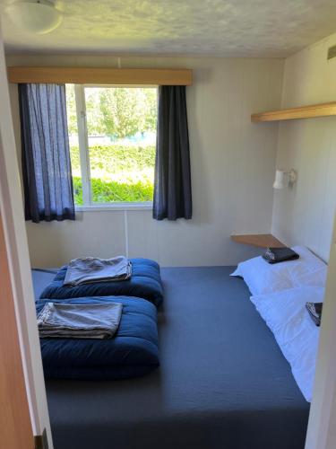 two beds in a room with a window at Camping BuitenRijk - Chalet D35 Huisdier vrij in Valthermond