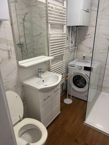 a bathroom with a toilet and a sink and a washing machine at InOsijek- FEELS LIKE HOME in Osijek