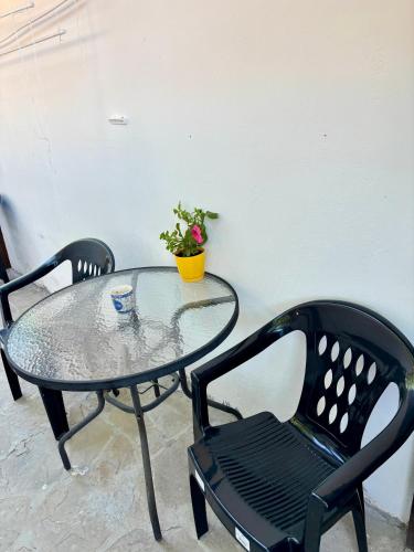 a glass table with two chairs and a potted plant at hostel FARA in Nesebar