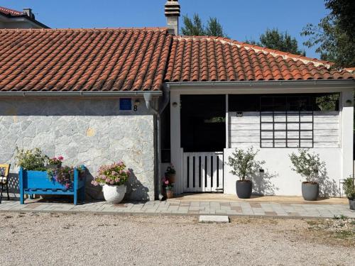 Casa Mio