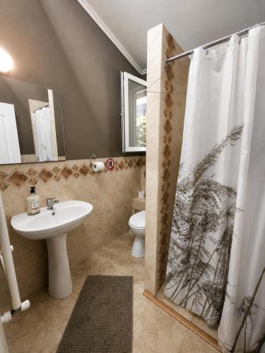 a bathroom with a shower curtain and a sink at Agape Speranta 96 in Piteşti