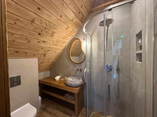 a bathroom with a shower and a sink at Chata Rosocha domek na wyłączność in Cisna