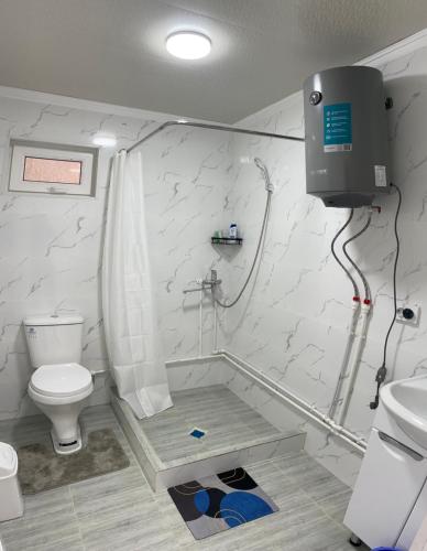 a bathroom with a shower and a toilet and a sink at Aina guesthouse in Kyzyloy