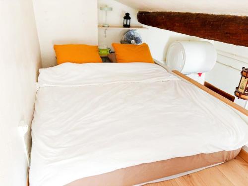 Appartement Hypercentre