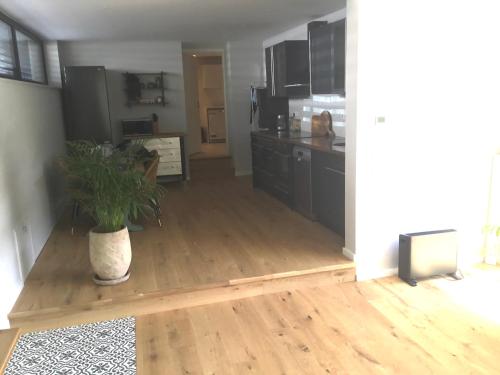 a kitchen with a potted plant on a wooden floor at Stunning New Apartment Senningerberg in Niederanven