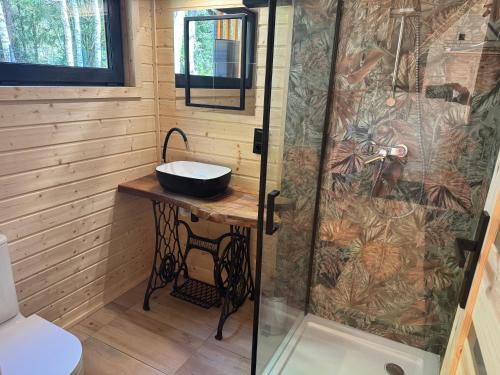 a bathroom with a sink and a shower at Stodoła in Kamień
