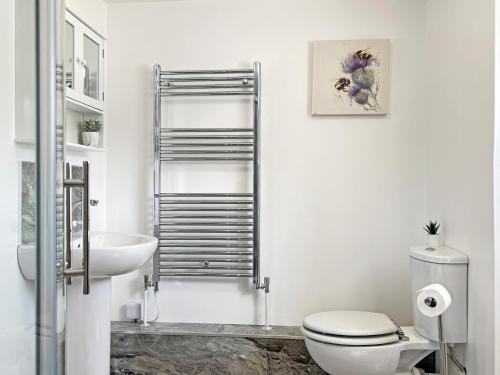 a white bathroom with a toilet and a sink at Wingate Farm Countisbury in Countisbury