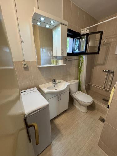 a bathroom with a sink and a toilet and a mirror at Vila Ljubinka in Brežđe