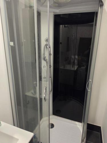 a shower with a glass door in a bathroom at Appartment on Dorpsstraat in Bleskensgraaf