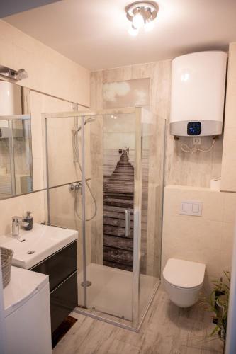a bathroom with a shower and a toilet and a sink at Apartament Roberto in Żarnowska