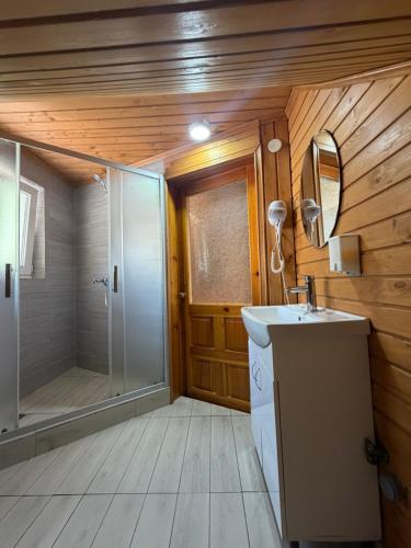 a bathroom with a shower and a sink at Садиба Сойми in Soymy