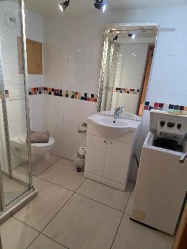 a bathroom with a sink and a toilet and a mirror at hotel le malgovert SEEZ 73 in Séez