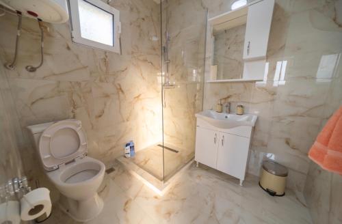 a bathroom with a toilet and a shower and a sink at The Best Lake View Studios Borisic in Vranjina