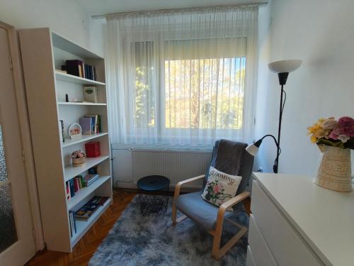 a living room with a chair and a window at Galamb Odú Apartman in Baja