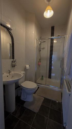 a bathroom with a shower and a toilet and a sink at Flat 4, 2 Victoria Street in Armagh