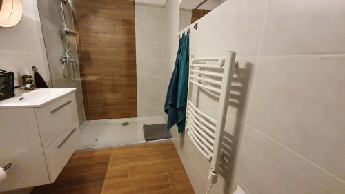 a bathroom with a shower and a toilet and a sink at Forest Edge Retreat in Wizna
