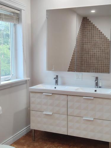 a bathroom with a sink and a mirror at Central Light-Filled 3rd Floor -3C in Halifax